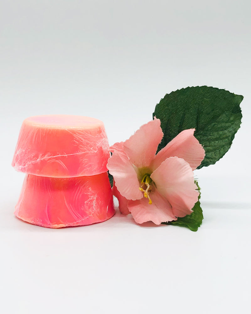 Tropical Vacation - Shaving Soap Bars