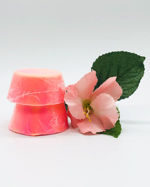 Tropical Vacation - Shaving Soap Bars