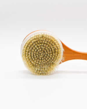 Round Back & Body Brush