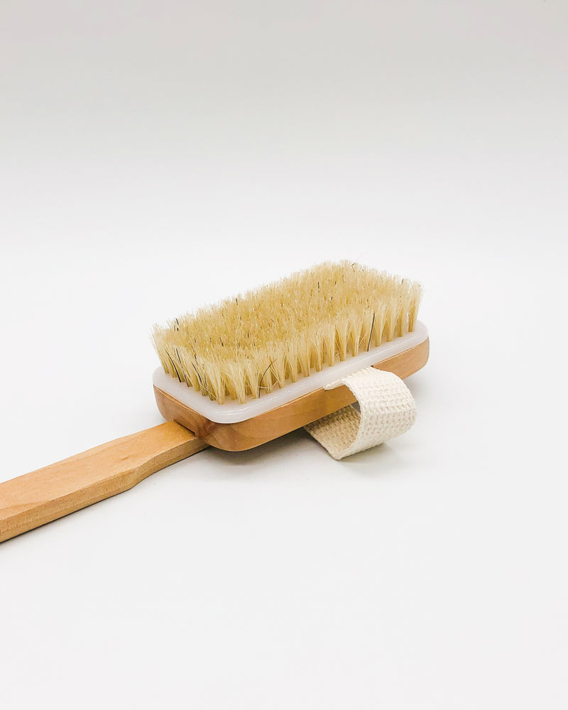 Back & Body Brush