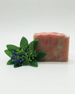 Cucumber Melon - Soap Bar