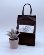 Mystery Bags - Small